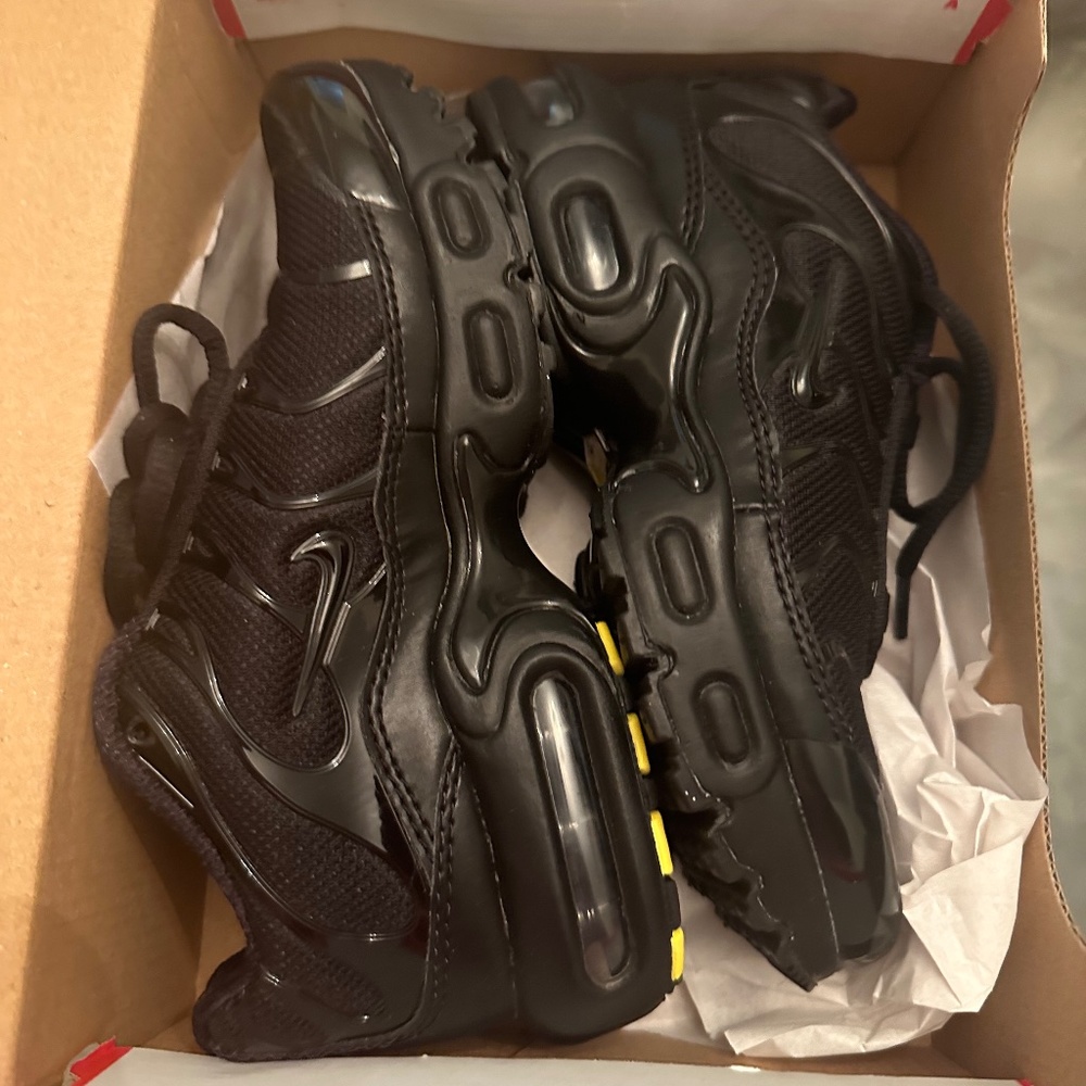 Nike air max plus triple black